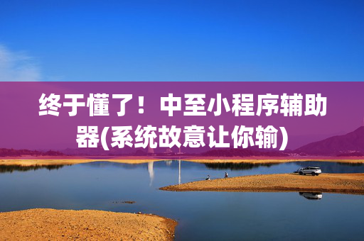 终于懂了！中至小程序辅助器(系统故意让你输)