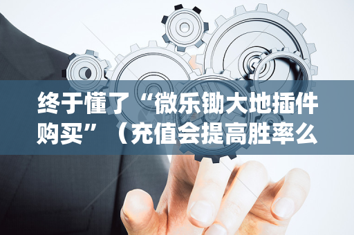 终于懂了“微乐锄大地插件购买”（充值会提高胜率么)