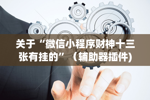 关于“微信小程序财神十三张有挂的”（辅助器插件)