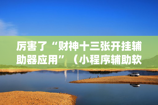 厉害了“财神十三张开挂辅助器应用”（小程序辅助软件)