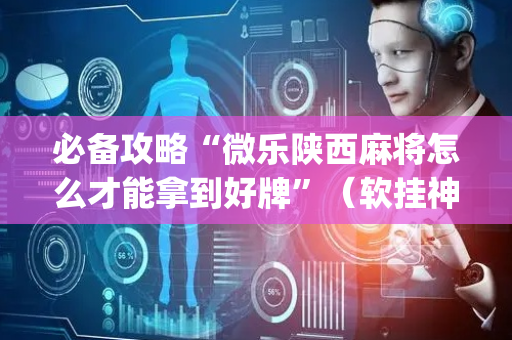 必备攻略“微乐陕西麻将怎么才能拿到好牌”（软挂神器)