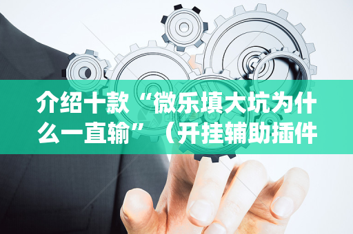 介绍十款“微乐填大坑为什么一直输”（开挂辅助插件)