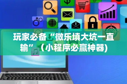 玩家必备“微乐填大坑一直输”（小程序必赢神器)