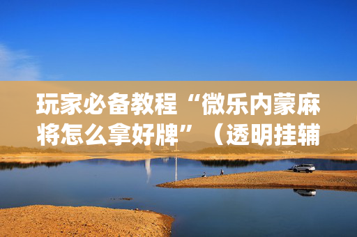 玩家必备教程“微乐内蒙麻将怎么拿好牌”（透明挂辅助器)