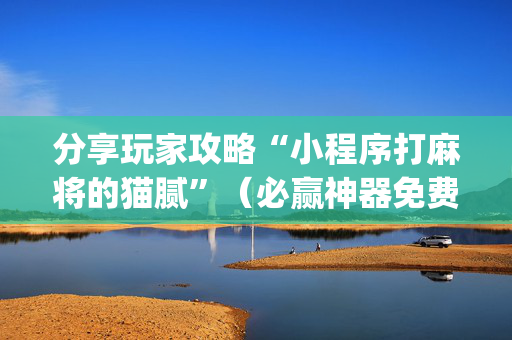 分享玩家攻略“小程序打麻将的猫腻”（必赢神器免费安装)