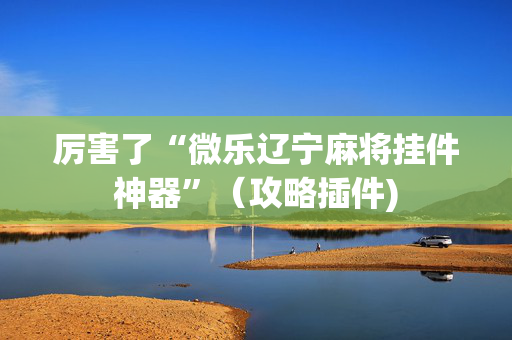 厉害了“微乐辽宁麻将挂件神器”（攻略插件)