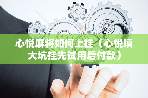 心悦麻将如何上挂（心悦填大坑挂先试用后付款）