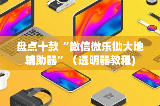 盘点十款“微信微乐锄大地辅助器”（透明器教程)