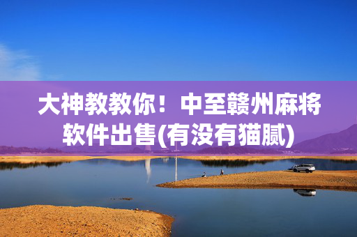 大神教教你！中至赣州麻将软件出售(有没有猫腻)