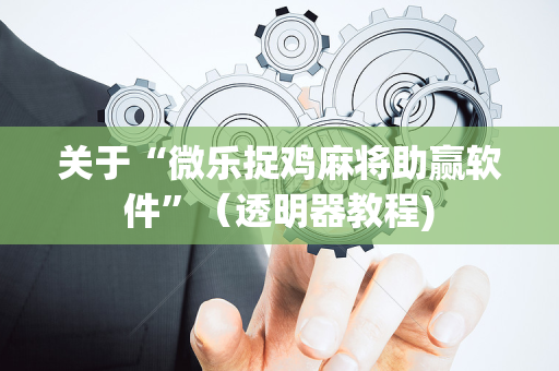 关于“微乐捉鸡麻将助赢软件”（透明器教程)