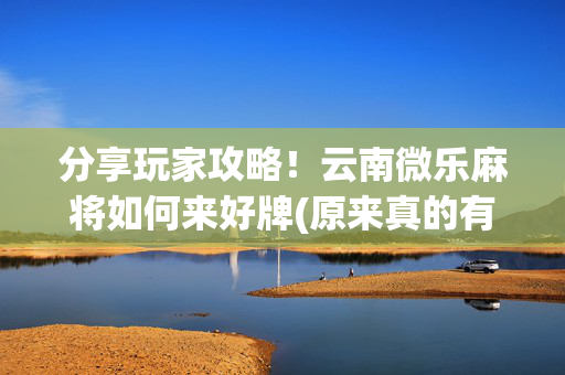分享玩家攻略！云南微乐麻将如何来好牌(原来真的有挂)