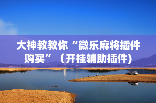 大神教教你“微乐麻将插件购买”（开挂辅助插件)