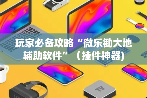 玩家必备攻略“微乐锄大地辅助软件”（挂件神器)