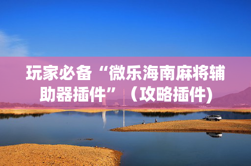 玩家必备“微乐海南麻将辅助器插件”（攻略插件)
