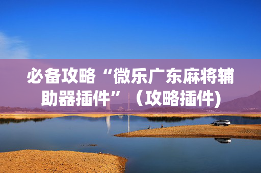 必备攻略“微乐广东麻将辅助器插件”（攻略插件)