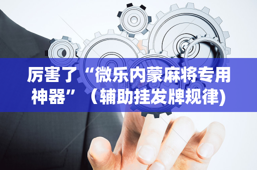 厉害了“微乐内蒙麻将专用神器”（辅助挂发牌规律)