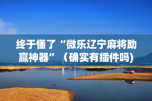 终于懂了“微乐辽宁麻将助赢神器”（确实有插件吗)