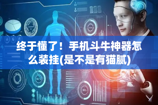 终于懂了！手机斗牛神器怎么装挂(是不是有猫腻)