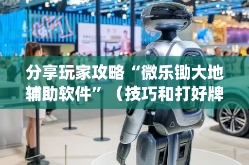 分享玩家攻略“微乐锄大地辅助软件”（技巧和打好牌方法)