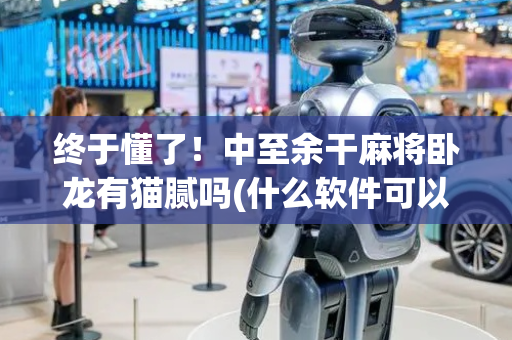 终于懂了！中至余干麻将卧龙有猫腻吗(什么软件可以赢)