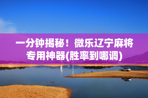 一分钟揭秘！微乐辽宁麻将专用神器(胜率到哪调)