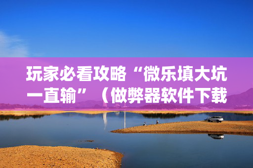 玩家必看攻略“微乐填大坑一直输”（做弊器软件下载)