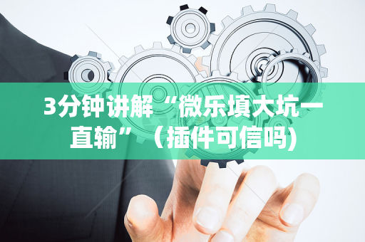 3分钟讲解“微乐填大坑一直输”（插件可信吗)