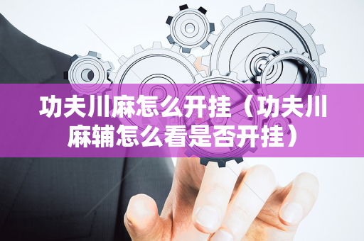 功夫川麻怎么开挂（功夫川麻辅怎么看是否开挂）