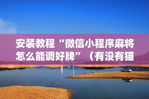 安装教程“微信小程序麻将怎么能调好牌”（有没有猫腻)