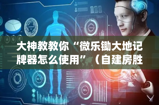 大神教教你“微乐锄大地记牌器怎么使用”（自建房胜负规律)