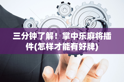 三分钟了解！掌中乐麻将插件(怎样才能有好牌)