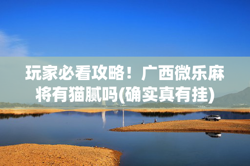 玩家必看攻略！广西微乐麻将有猫腻吗(确实真有挂)