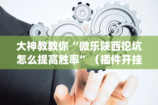 大神教教你“微乐陕西挖坑怎么提高胜率”（插件开挂免费AI)
