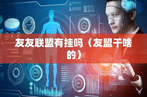 友友联盟有挂吗（友盟干啥的）