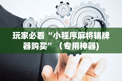 玩家必看“小程序麻将辅牌器购买”（专用神器)