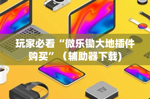 玩家必看“微乐锄大地插件购买”（辅助器下载)
