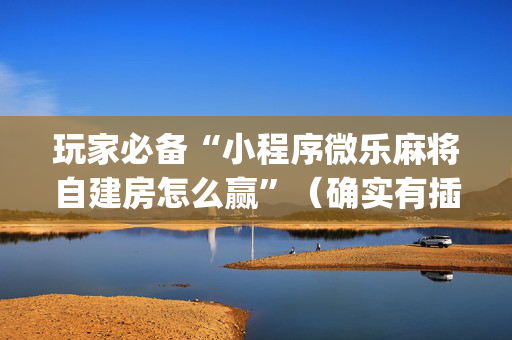 玩家必备“小程序微乐麻将自建房怎么赢”（确实有插件吗)