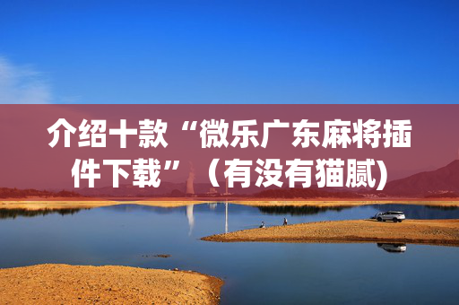 介绍十款“微乐广东麻将插件下载”（有没有猫腻)