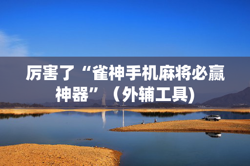 厉害了“雀神手机麻将必赢神器”（外辅工具)
