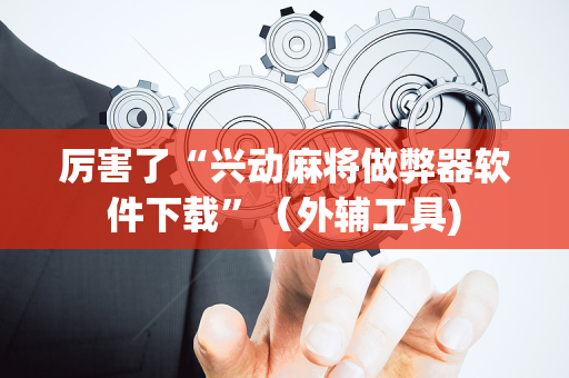 厉害了“兴动麻将做弊器软件下载”（外辅工具)