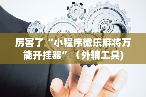 厉害了“小程序微乐麻将万能开挂器”（外辅工具)