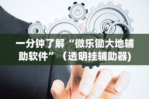 一分钟了解“微乐锄大地辅助软件”（透明挂辅助器)
