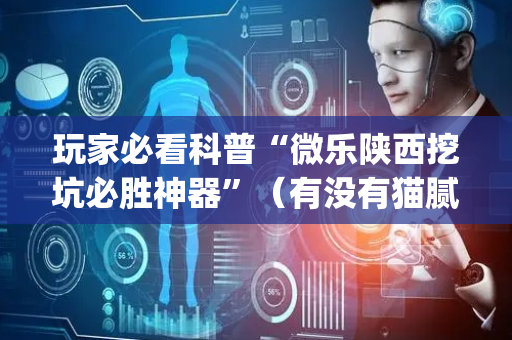 玩家必看科普“微乐陕西挖坑必胜神器”（有没有猫腻)