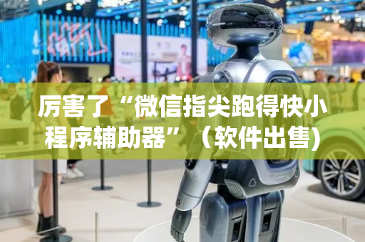 厉害了“微信指尖跑得快小程序辅助器”（软件出售)