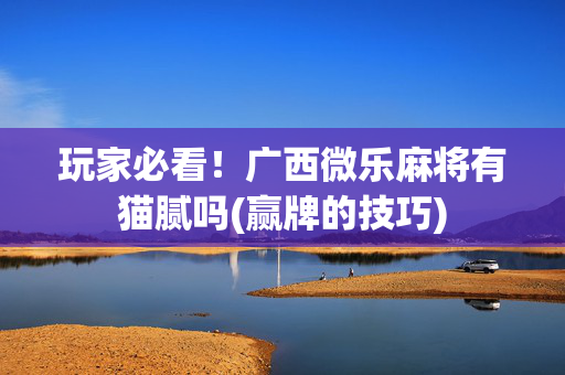 玩家必看！广西微乐麻将有猫腻吗(赢牌的技巧)
