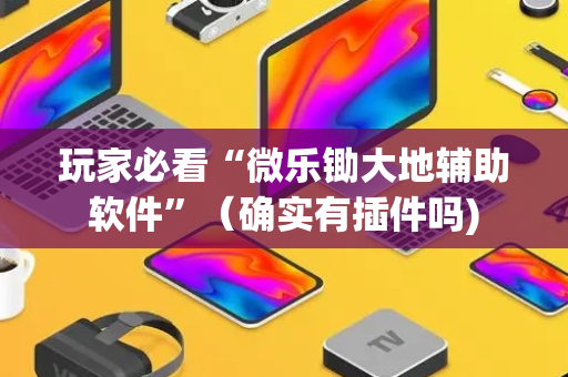 玩家必看“微乐锄大地辅助软件”（确实有插件吗)