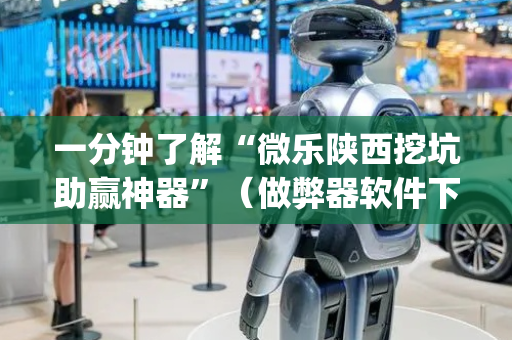 一分钟了解“微乐陕西挖坑助赢神器”（做弊器软件下载)