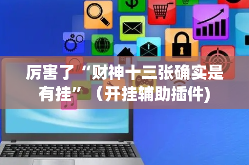 厉害了“财神十三张确实是有挂”（开挂辅助插件)