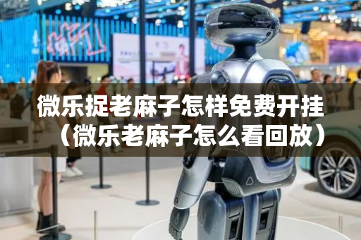 微乐捉老麻子怎样免费开挂（微乐老麻子怎么看回放）