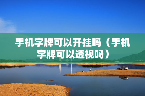 手机字牌可以开挂吗（手机字牌可以透视吗）